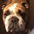 Susan Meholick's profile image