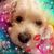 Tina Thornton's profile image