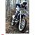 Craig Hoyt's profile image