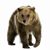 Richard A Weaver's profile image