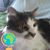 Willie Merryman's profile image