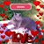 Kathy Pifer Carney's profile image