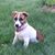 Kevin J Boyd's profile image
