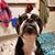 Sue McGraw's profile image