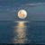 Kristi Dailey's profile image