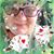 Nichole Martinson-Jones's profile image
