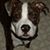 Robin Ramsier Thompson's profile image
