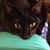 Peggy Sue Auman Kabore's profile image