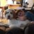 Laurie Grabowski Strand's profile image