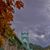 Amy Bollinger Profitt's profile image