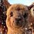 Kim Greatorex's profile image