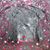 Lori Hazelip Palano's profile image