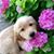 Patricia Dicianni's profile image