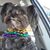 Lisa Kegley's profile image