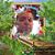 Amine Soussi-Tanani's profile image