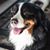 Brenda McCollum's profile image