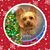 Terie Anderson's profile image