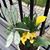 JoAnn Brownlee's profile image