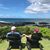 Andrea Johnston's profile image