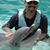 Don Senda's profile image