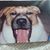 Dana Dulle's profile image