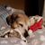Jenny Jiudice's profile image