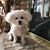 Sue Norton Stephens's profile image