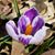 Beth Buschmann's profile image