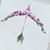 Jennifer H. Duffourc's profile image