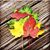 Judy Darling's profile image