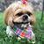 Jackie Williams's profile image