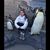 Catherine Duarte's profile image