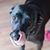 Jacque Hudson's profile image