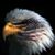 Joseph Valis's profile image