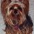 Scott Johnson's profile image