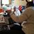 Shannon Miller Shiflett's profile image