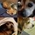 Phyllis Cruz's profile image