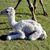 Bev Hadjikhani's profile image