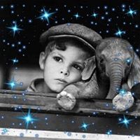 David Snyder's profile image
