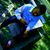 Yogie Sideposito Depo's profile image