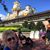 Judi Shene-Sarruff's profile image