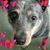Jody Webster's profile image