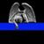 Tom Buresch's profile image