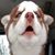 Gregory Lee's profile image