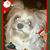 Linda Daniels Tilley's profile image