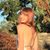 Robin Vaughn's profile image