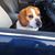Errol Denyes's profile image