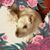 Lecons LaNuit's profile image