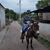 Arce Rojas's profile image