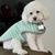 Sally Morgan's profile image
